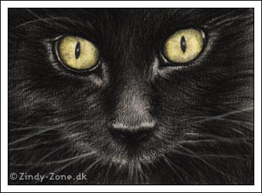 Black Cat Selina ACEO by Zindy S. D. Nielsen
