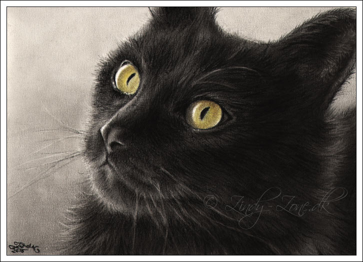 Selina Black Cat by Zindy S. D. Nielsen