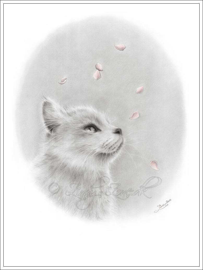 Spring Kitten by Zindy S D Nielsen