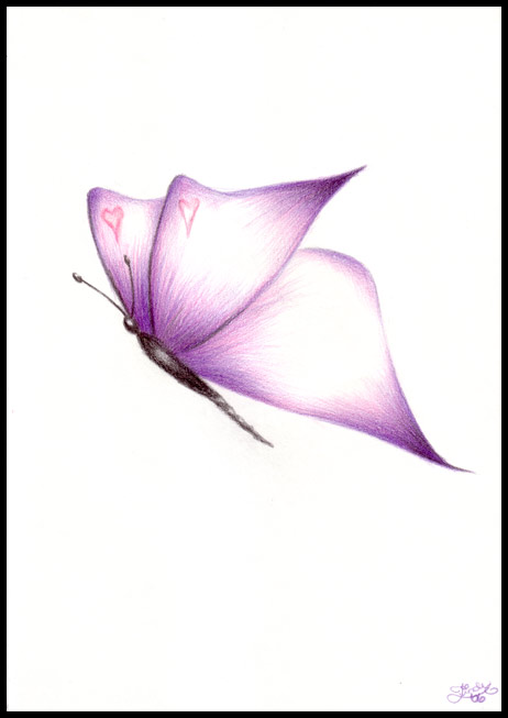 Purple Butterfly