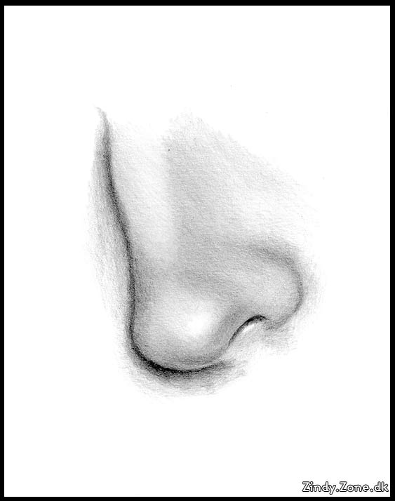noses to draw. Zindy-Zone.dk - Nose Drawing