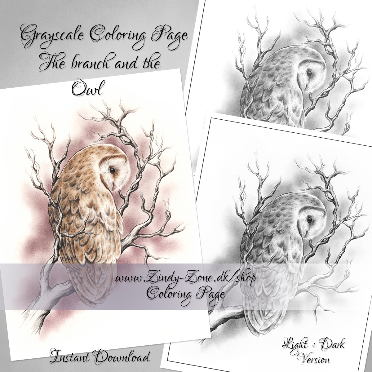 The Branch and the owl Coloring Page - Grayscale