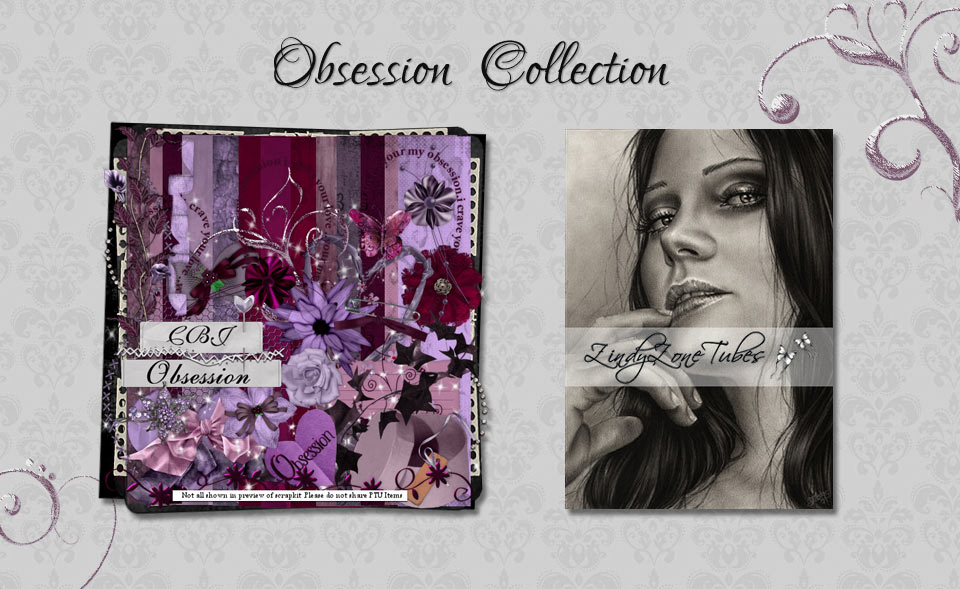 Obsession Collection