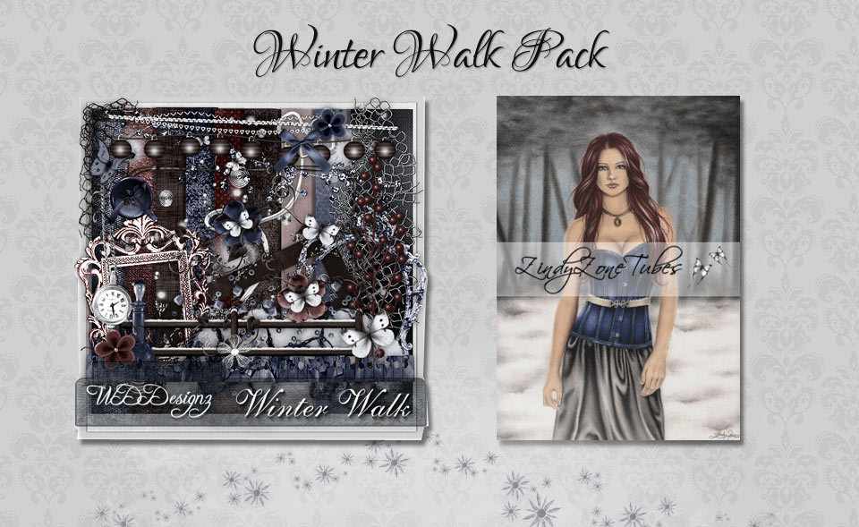 Winter Walk Pack