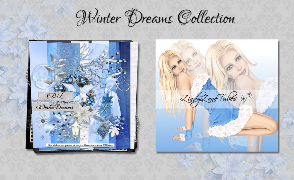 Winter Dreams Collection