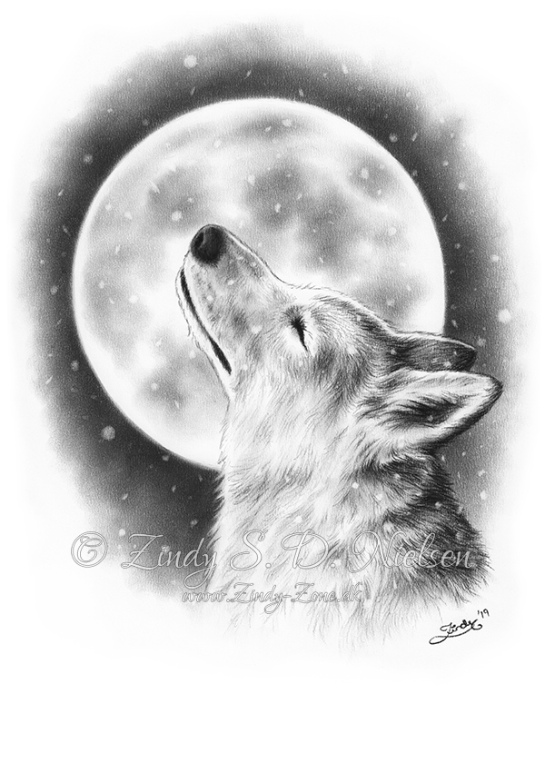 Winter Moon Wolf Original Drawing 249.95 ZindyZone Shop
