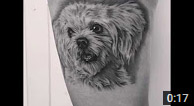 Zindy Dog Tattoo Portrait