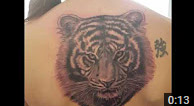 Zindy Tiger Tattoo 