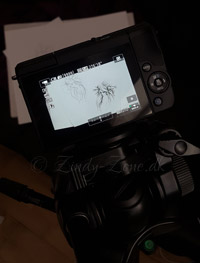 Canon M10 Drawing Video Zindy